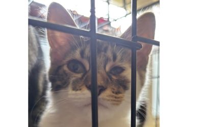 Urgent Help needed