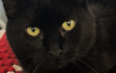 This little lady is 17 years young & full of life